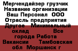 Мерчендайзер-грузчик › Название организации ­ Ваш Персонал, ООО › Отрасль предприятия ­ Другое › Минимальный оклад ­ 40 000 - Все города Работа » Вакансии   . Тамбовская обл.,Моршанск г.